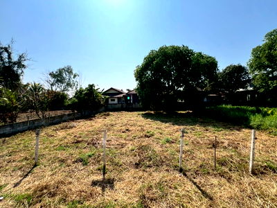 ขายที่ดิน : ขายที่ดินเปล่า ขนาด 50  ตร.วา บ้านป่าขุย ต.สันปูเลย อ.ดอยสะเก็ด จ.เชียงใหม่