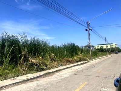 ที่ดิน ถนนรังสิต-นครนายก : ขายที่ดิน  197 ตรว. ซอยลำลูกกา 11/12 ขายถูก ถนนเมน