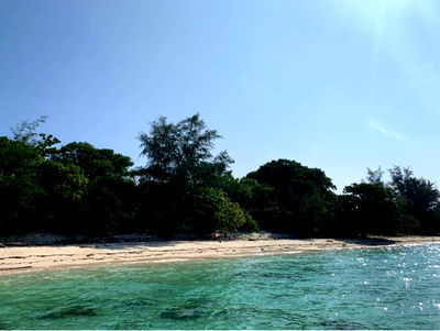 ที่ดิน เกาะสมุย สุราษฎร์ธานี : ขายที่ดินติดหาด เกาะส่วนตัว “เกาะราบ” 