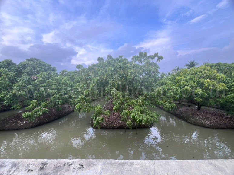 รูป ที่ดิน พร้อมสิ่งปลูกสร้าง 9-3-60 ไร่ สามพราน นครปฐม  - รูปที่ 12/12