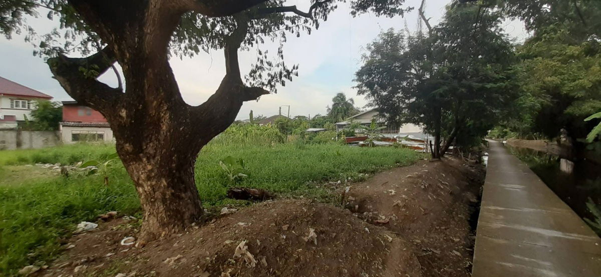 picture Sell, buy land, Soi Chaloem Prakiat 9 Soi 61, vacant land 2-2-4 rai, cheap price, interested Line: @951qfbfi - 14/14