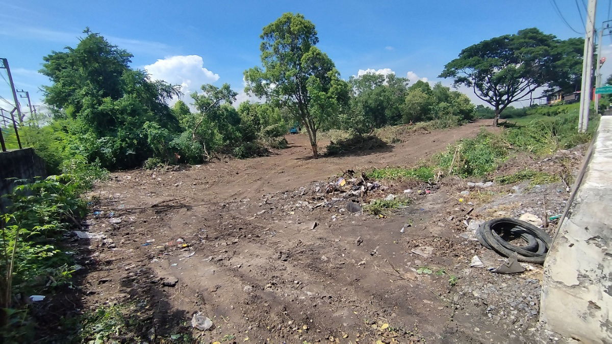 รูป ขายที่ดิน 48 ตรว. ถ.นิมิตรใหม่ เหมาะปลูกบ้าน ขายถูกสุดๆๆ - รูปที่ 5/11