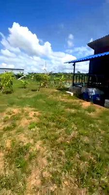 ที่ดิน เชียงราย : ที่ดินใกล้เมือง บรรยากาศดีราคาถูก พร้อมบ้านสวนและบ่อปลา