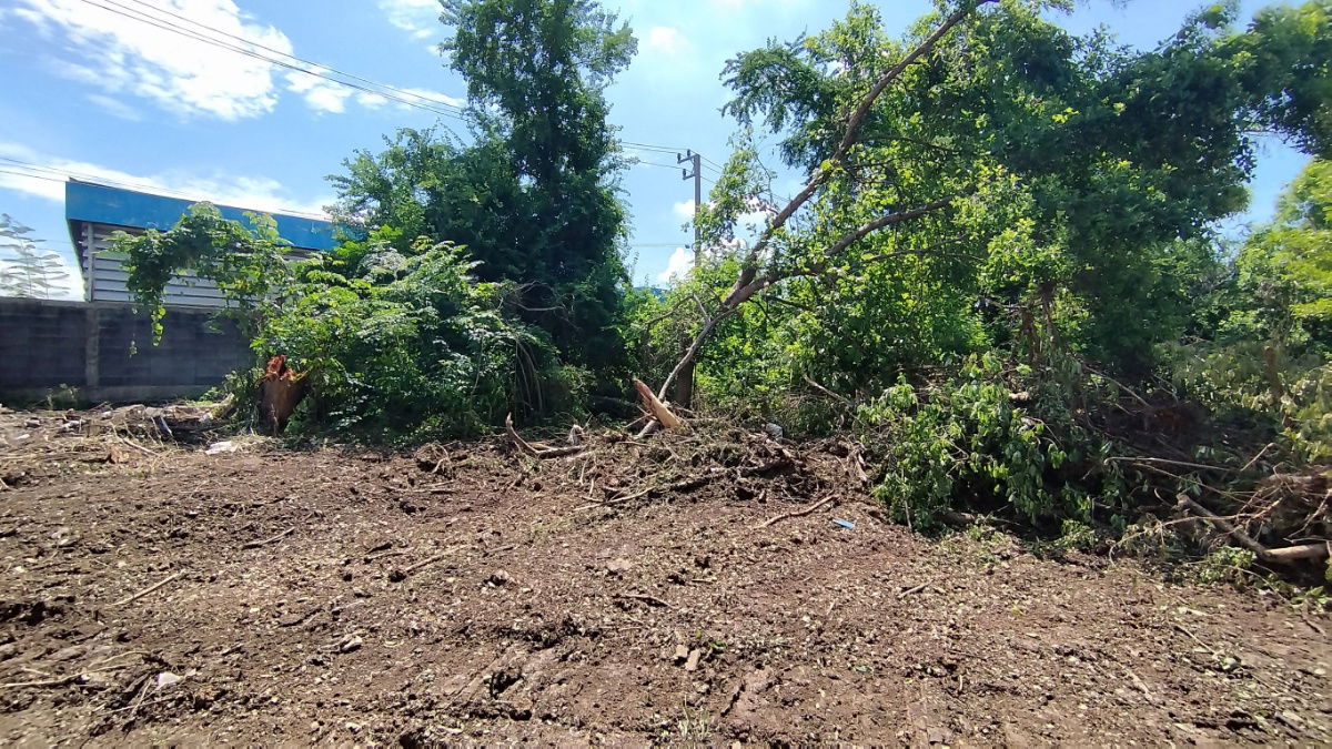 รูป ขายที่ดิน 48 ตรว. ถ.นิมิตรใหม่ เหมาะปลูกบ้าน ขายถูกสุดๆๆ - รูปที่ 9/11