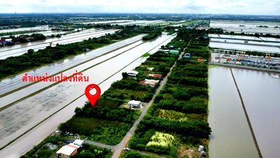 Land for sale Nong Chok : Land for sale at a great price! Four large plots, totaling 241.6 sq wah, in the Nong Chok Khlong Sip area. Perfect for investment, capital gains, 