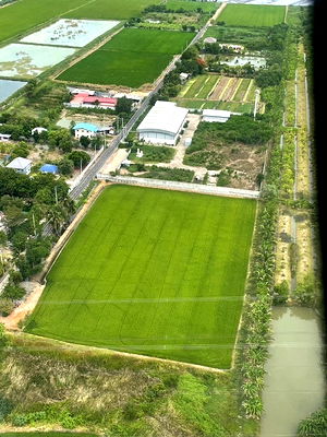 ที่ดิน ไทรน้อย นนทบุรี : ขายที่ดินสวย 6 ไร่ 63 ตารางวา (พื้นที่สีม่วง) เจ้าของขายเอง