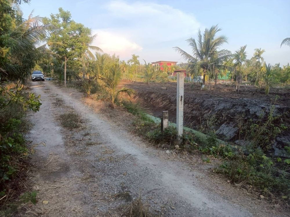 รูป ขายที่ดินเปล่า 4 ไร่ 27 ตร.วา ติดคลอง บรรยากาศดี เหมาะสร้างบ้านสวน ทำเกษตร ต.บางไผ่ อ.เมือง จ.ฉะเชิงเทรา - รูปที่ 12/15