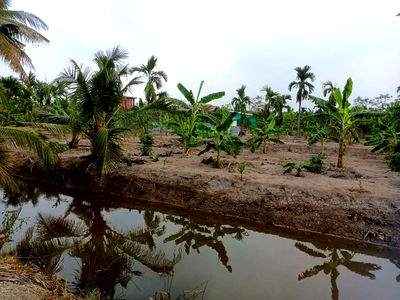 ขายที่ดิน : ขายที่ดินเปล่า 4 ไร่ 27 ตร.วา ติดคลอง บรรยากาศดี เหมาะสร้างบ้านสวน ทำเกษตร ต.บางไผ่ อ.เมือง จ.ฉะเชิงเทรา