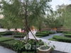 listing thumbnail image 27