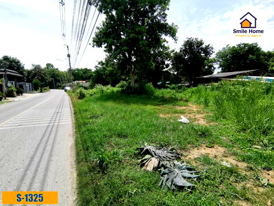 ขายที่ดิน : ขายที่ดิน 2 งาน คุ้มพยอม บ้านโป่ง ราชบุรี