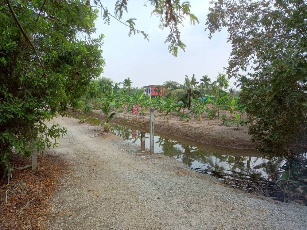 รูป ขายที่ดินเปล่า 4 ไร่ 27 ตร.วา ติดคลอง บรรยากาศดี เหมาะสร้างบ้านสวน ทำเกษตร ต.บางไผ่ อ.เมือง จ.ฉะเชิงเทรา - รูปที่ 8/15