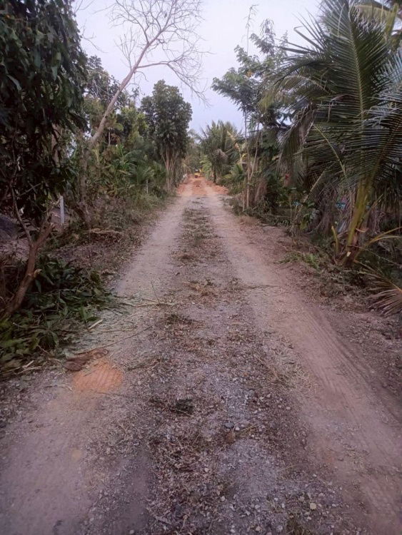 รูป ขายที่ดินเปล่า 4 ไร่ 27 ตร.วา ติดคลอง บรรยากาศดี เหมาะสร้างบ้านสวน ทำเกษตร ต.บางไผ่ อ.เมือง จ.ฉะเชิงเทรา - รูปที่ 13/15