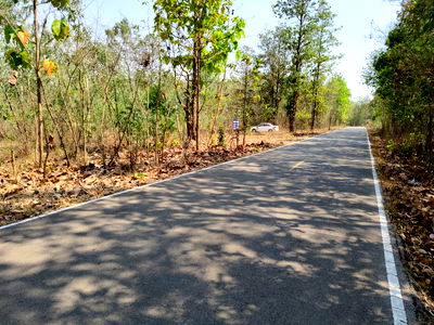 ขายที่ดิน : ขายที่ดิน 17ไร่ 97 ตร.วา โฉนดติดถนน4042บ้านโป่ง-บ้านปากกอง นาโปง เถิน ลำปาง