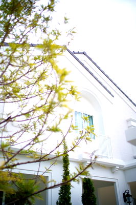 Houses for rent Hua Chieo Chaloem Phrakiat University : Code: KJ9525  for rent Chaiyapruek Bangna km.15 // Line ID: @kjcondo (with @) //