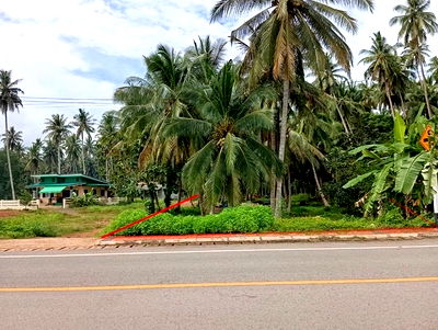 Land for sale Chumphon : Coastal Land for Sale, Only 100 Meters from the Beach — Perfect for a Holiday Home in Chumphon
