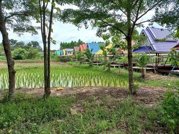 รูป ขายที่ดินพร้อมบ้านเรือนไทย สภาพดี  เนื้อที่ 7-3-70 ไร่ ต.หมอนนาง อ.พนัสนิคม จ.ชลบุรี  - รูปที่ 38/41