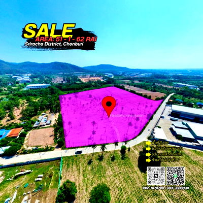 Land for sale Si Racha Chonburi : Purple land for sale in Sriracha, prime location in the heart of the EEC industrial zone.