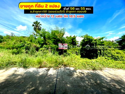 ขายที่ดิน : ขายถูกที่ดิน ลำลูกกา คลอง9 ซอยลำลูกกา181 (ซอยร่วมใจ1) พื้นที่ 56 ตารางวา แปลงสี่เหลี่ยมผืนผ้าสวย เหมาะสร้างบ้าน