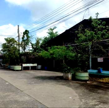 โรงงาน สมุทรปราการ : ขาย ที่ดินสีม่วง พร้อมอาคาร โกดัง ปู่เจ้า สำโรง สมุทรปราการ 