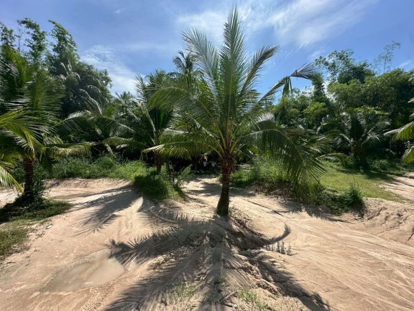 picture Beautiful land for sale, natural atmosphere, quiet, Ban Huai Kum, Bang Phra - 7/10