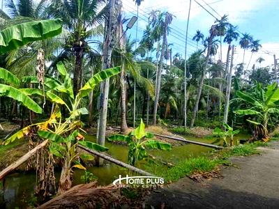 ที่ดิน สามพราน นครปฐม : ที่ดินตำบลท่าตลาด อำเภอสามพราน นครปฐม เนื้อที่ 800 ตารางวา