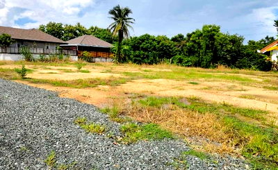 ขายที่ดิน : ขายที่ดินตำบลยางเนิ้งสารภีทำเลโฉนดพร้อมโอน