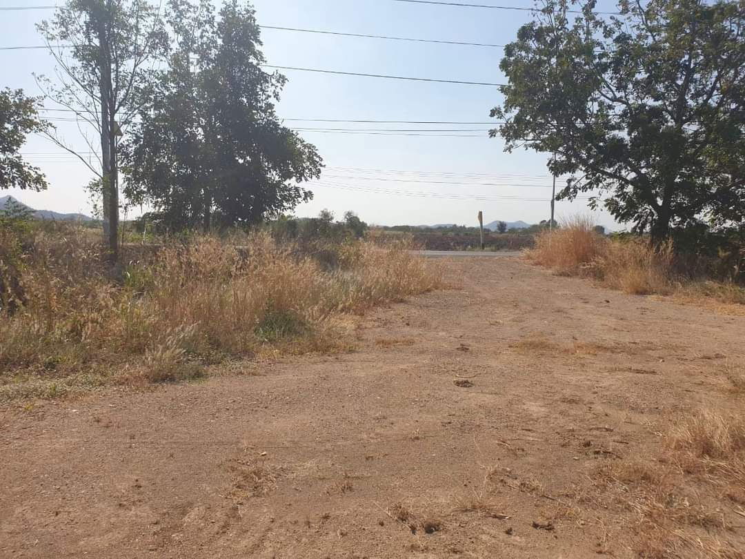 รูป 📍 ที่ดิน 14 ไร่ – ท่าคล้อ แก่งคอย สระบุรี 💵 ราคาพิเศษเพียง ไร่ละ 600,000 บาท เท่านั้น! - รูปที่ 4/9