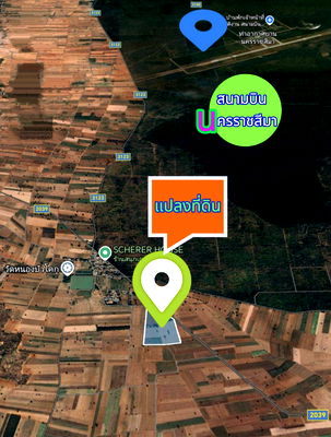 ที่ดิน เฉลิมพระเกียรติ โคราช : ขายที่ดินอำเภอเฉลิมพระเกียรติจังหวัดนครราชสีมา บ้านหนองบัวโคก ตำบลหนองยาง​ ขนาดที่ดิน 108-3-81ไร่โฉนด ติดถนน 2 ด้าน​