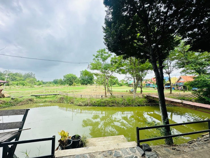 รูป ขายที่ดินพร้อมบ้านเรือนไทย สภาพดี  เนื้อที่ 7-3-70 ไร่ ต.หมอนนาง อ.พนัสนิคม จ.ชลบุรี  - รูปที่ 39/41