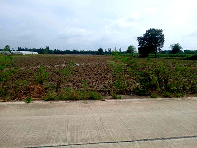 Land for sale Nong Ya Sai Suphanburi : Suphanburi Land for Sale (Nong Ya Sai District)