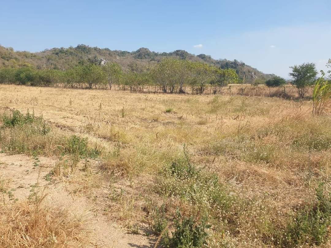 รูป 📍 ที่ดิน 14 ไร่ – ท่าคล้อ แก่งคอย สระบุรี 💵 ราคาพิเศษเพียง ไร่ละ 600,000 บาท เท่านั้น! - รูปที่ 3/9