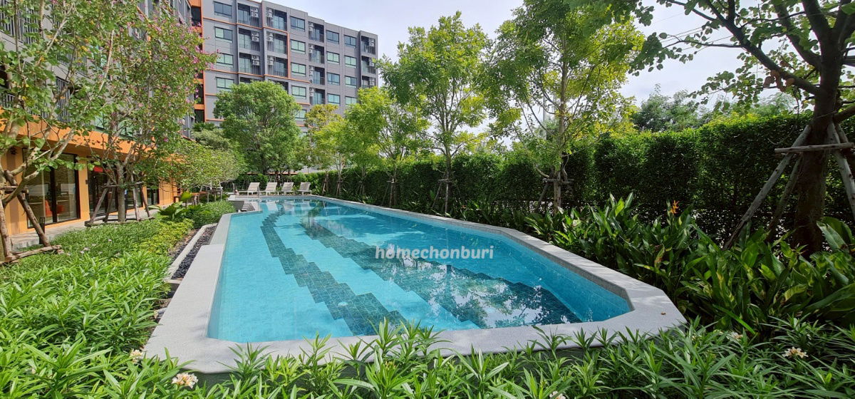 รูป ให้เช่าดีคอนโดเซนส์บางแสนใกล้มหาวิทยาลัยบูรพา ห้องกั้นชั้น8 เฟอร์ครบพร้อมอยู่ ห้องใหม่ - รูปที่ 3/3