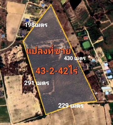 ที่ดิน ชลบุรี : ขายถูกที่ดินพนัสนิคมใกล้ถนน331 ขนาด43ไร่2งาน42ตร.ว. ไร่ละ1.6ล้าน ผังสีเหลืองอ่อน ใกล้ถนน331 ชลบุรี