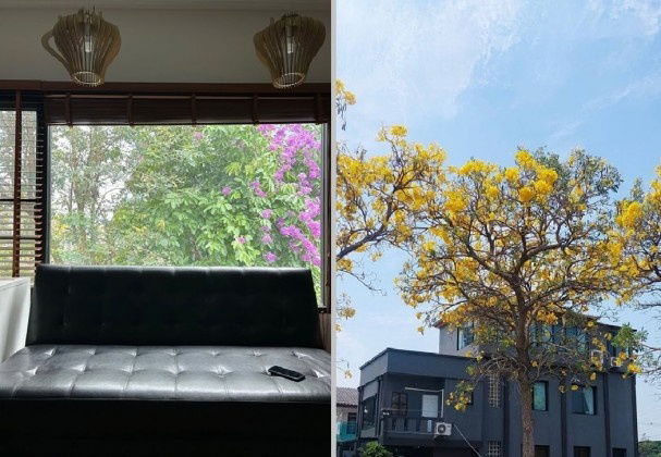 รูป ให้เช่าโฮมออฟฟิศ 3 ชั้น หมู่บ้านการไฟฟ้าภูมิภาคนิเวศน์ 2 / ซอยประชาชื่น 14 / ถนนประชาชื่น / ใกล้การประปานครหลวง สำนักงานใหญ่ จดบริษัทได้ - รูปที่ 7/9