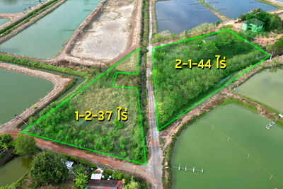 ที่ดิน เมืองฉะเชิงเทรา ฉะเชิงเทรา : ขายที่ดิน ทำเลเด่น อำเภอเมืองฉะเชิงเทรา ถมแล้ว ใกล้โรบินสันฉะเชิงเทรา