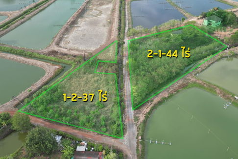 ขายที่ดิน ทำเลเด่น อำเภอเมืองฉะเชิงเทรา ถมแล้ว ใกล้โรบินสันฉะเชิงเทรา