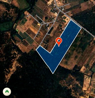 ที่ดิน สวนผึ้ง ราชบุรี : 📣 ขายที่ดินโฉนด สวนผึ้ง ไร่ละ 320,000 เนื้อที่ 61 ไร่  วิวเขาสุดสวย