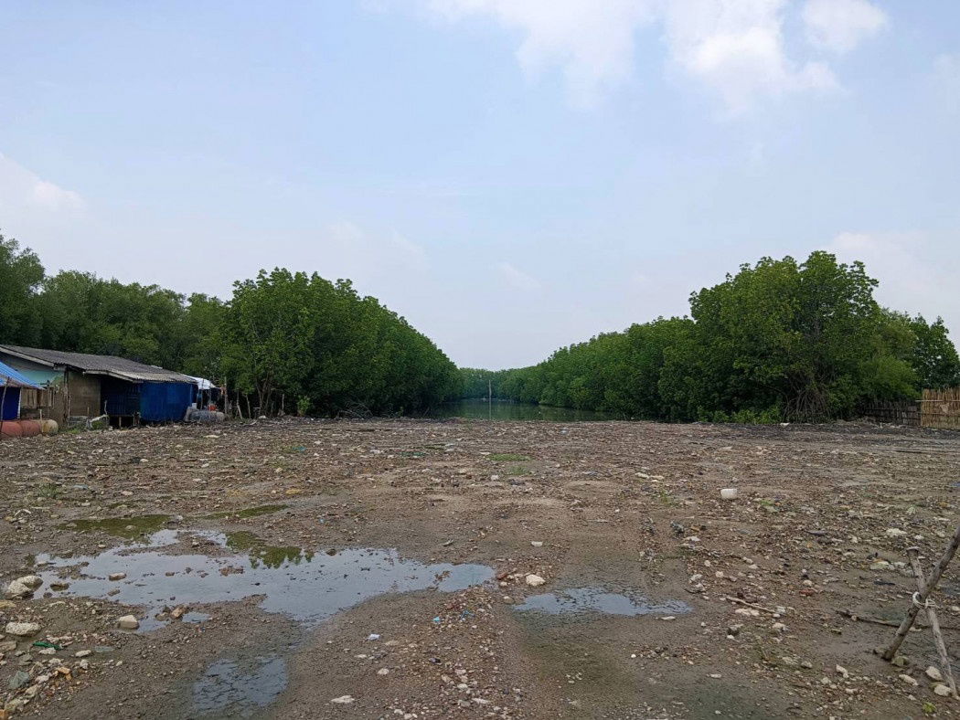 รูป ขายที่ดินเนื้อที่ 8-0-57 ไร่ ซ.เทียนทะเล 25 เหมาะสร้างโรงงานหรือโกดังสินค้า - รูปที่ 2/11