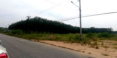 เช่าที่ดิน ระยอง : ให้เช่าที่ดิน 4ไร่ ปลวกแดง แม่น้ำคู้ ระยอง ใกล้นิคมอุตสาหกรรม WHA 4 วัดหลวงปู่ทิม ติดถนนใหญ่ ไฟฟ้ามี น้ำพร้อม