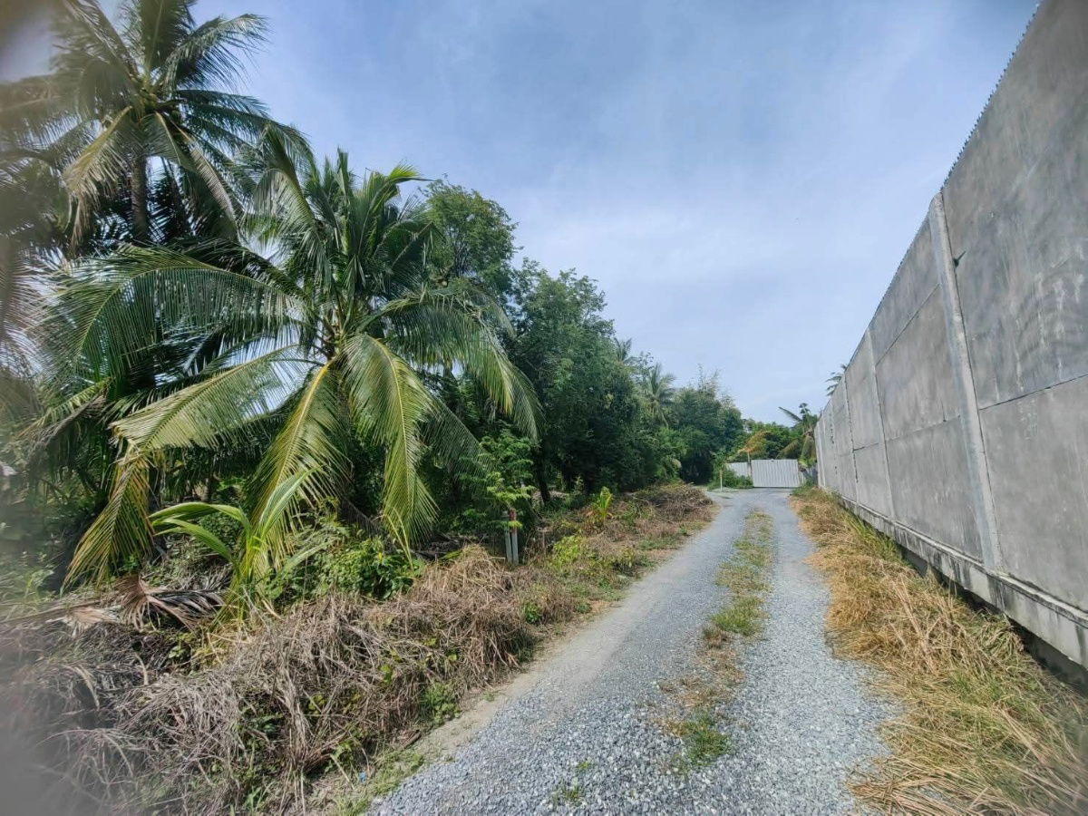 รูป ที่ดินใจกลางเมือง ติดหมู่บ้านแลนด์แอนด์เฮ้าส์ขายถูกมากๆก่อนปรับราคา - รูปที่ 2/6