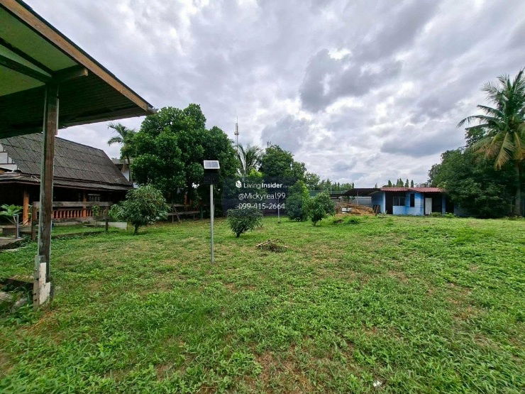 picture Land for rent (Chaengwattana-Pak Kret 24) 250 sq.wah - 7/10