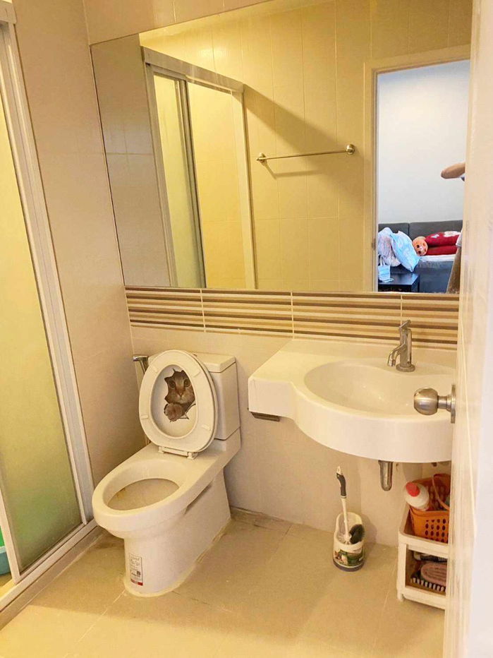 รูป ห้องมาใหม่💥🏘️Ⓜ️กดปุ่มแอดไลน์💥นนทบุรี💥เซ็นทริค ติวานนท์ สเตชั่น 🔴🟢🟡 - รูปที่ 7/9