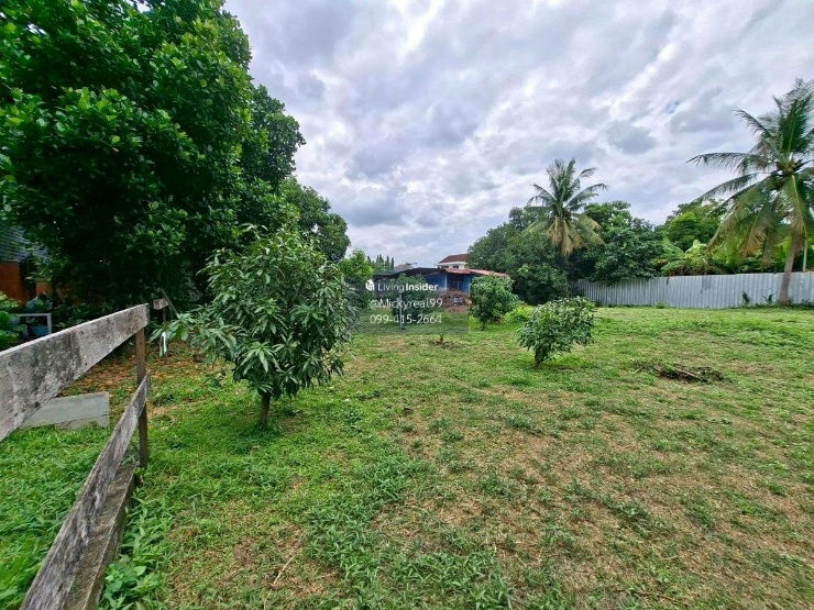 picture Land for rent (Chaengwattana-Pak Kret 24) 250 sq.wah - 6/10