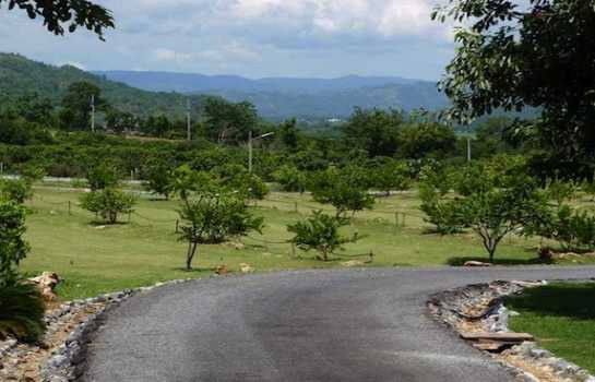 รูป ขายบ้านพร้อมที่ดิน 32ไร่ 3 งาน 82 ตารางวา มีสวน เขาใหญ่ - รูปที่ 3/11