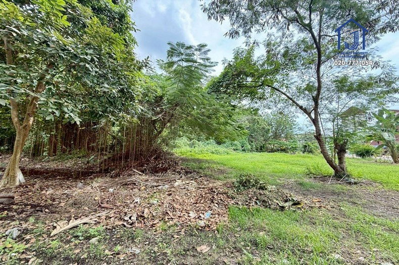 รูป ขายที่ดิน 7 ไร่ 27 ตร.วา หมู่บ้านไพเนอรี่ พาร์คบีช รีสอร์ท สวนสนระยอง เลียบทะเล–หาดสวนสน จังหวัดระยอง - รูปที่ 13/16