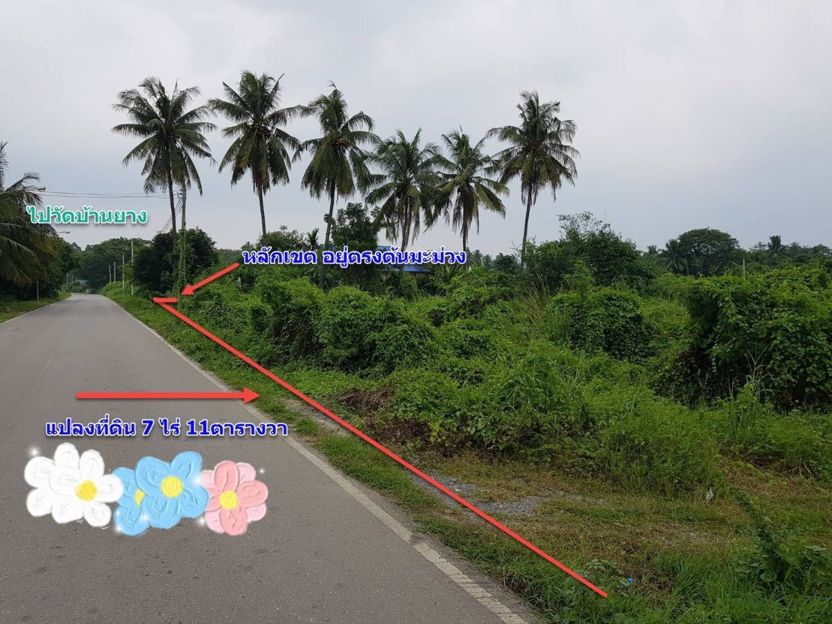 รูป ⭐️ ที่ดินติดถนน ขายด่วน! 7 ไร่ 57 ตรว. อ.บ้านโป่ง ราชบุรี | เจ้าของขายเอง ⭐️ - รูปที่ 4/22