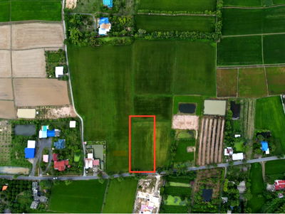 ที่ดิน นครนายก : ขายที่ดิน นครนายก อ.บ้านนา ครุฑแดง