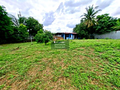 Land for rent Tiwanon Road : Land for rent (Chaengwattana-Pak Kret 24) 250 sq.wah