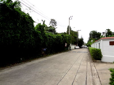 ที่ดิน พันธุ์ทิพย์พลาซ่า งามวงศ์วาน : ที่ดินชินเขต2งามวงศ์วาน47หลักสี่พื้นที่1งาน51ตารางวาออกประชาชื่น วิภาวดี นอร์ทปาร์คได้ ใก้ลร.ร.ราชวินิจ เดอะมอลล์รถไฟฟ้าสถานีศูนย์ราชการ เหมาะปลูกบ้าน