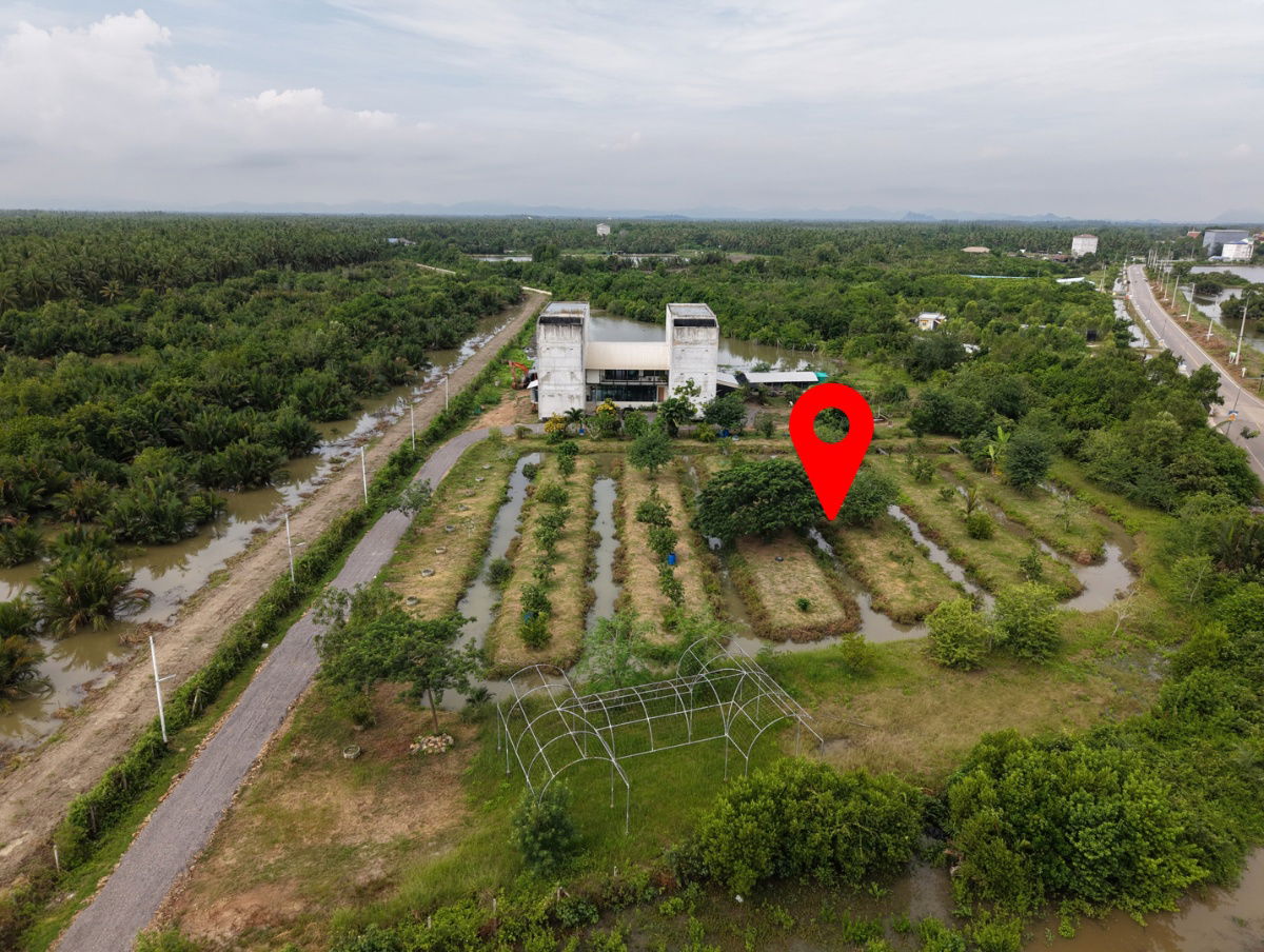 รูป A Rare Business Opportunity — Swiftlet Nest Farm with Huge Profit Potential!! For Sale: Land, Buildings, and Swiftlet House Business in Phetchaburi - รูปที่ 6/10